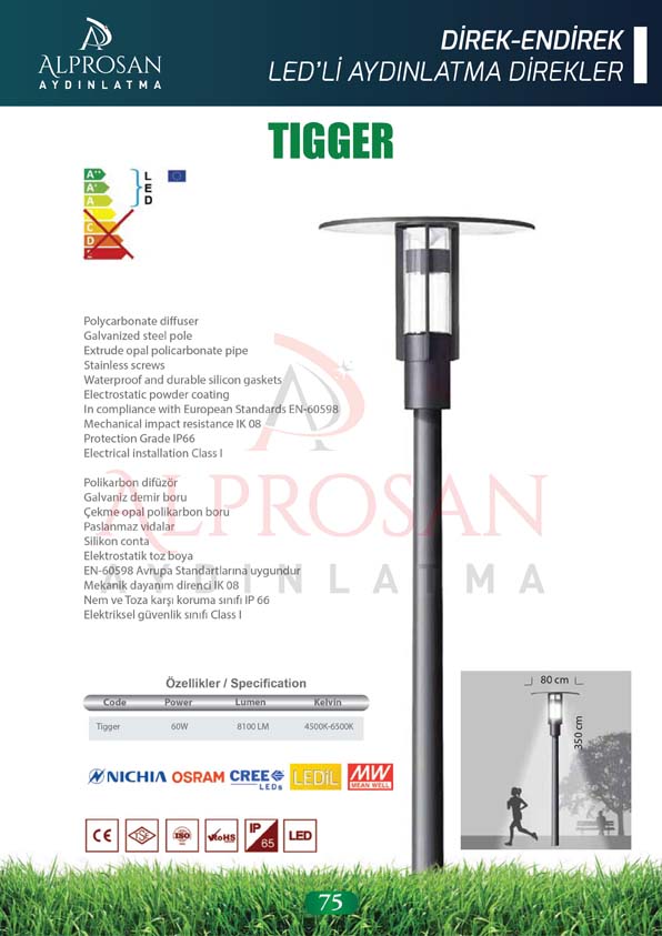 Direk ve Endirek Ledli Direkleri