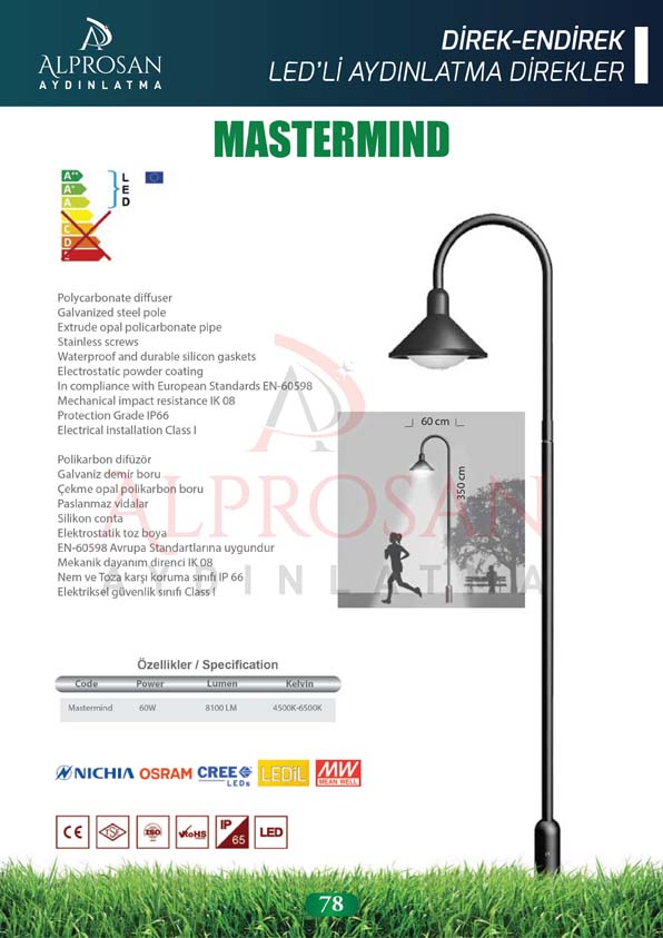 Direk ve Endirek Ledli Direkleri